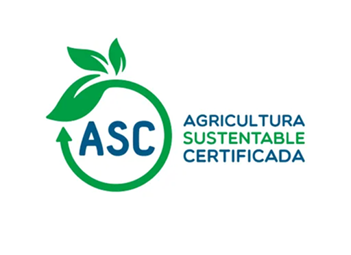 Nuestras certificaciones
