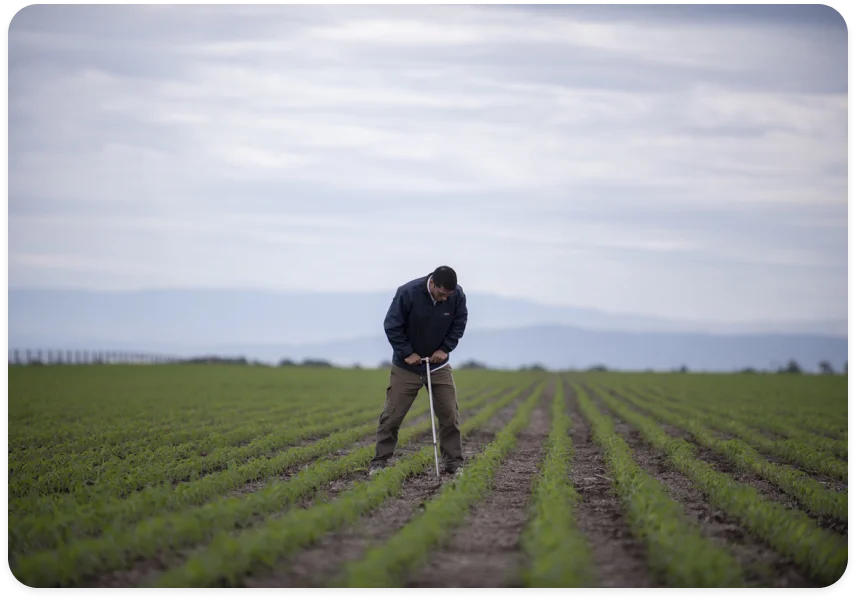 Tecnología para los mejores rindes