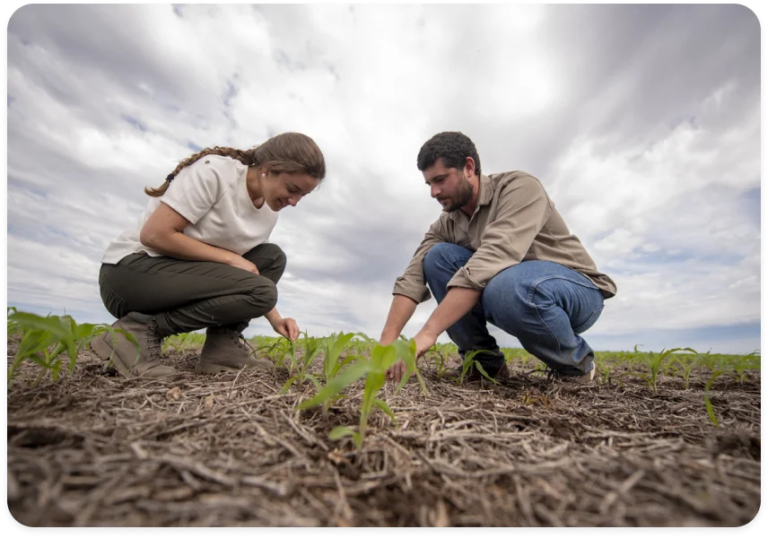 Cuidamos lo que hacemos