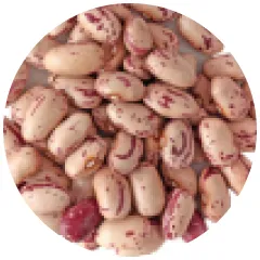 Porotos Cranberry