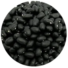 Porotos Negro