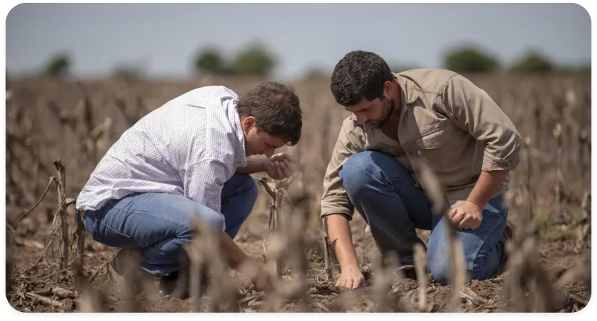Experiencia y calidad